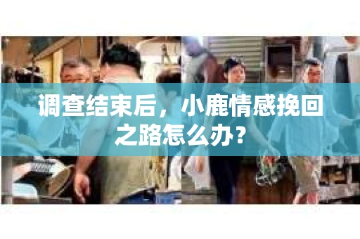调查结束后，小鹿情感挽回之路怎么办？