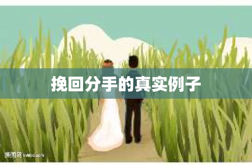 挽回分手的真实例子