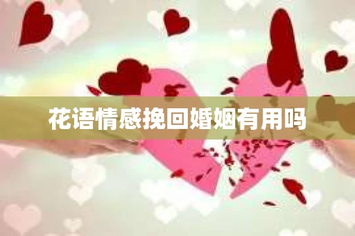 花语情感挽回婚姻有用吗