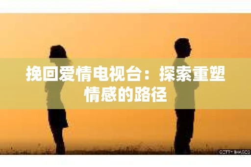 挽回爱情电视台：探索重塑情感的路径