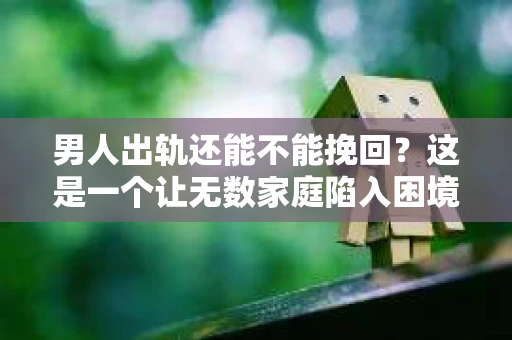 男人出轨还能不能挽回？这是一个让无数家庭陷入困境的问题。在这个问题上，我作为一名专业律师，将从法律、心理和社会等多个角度，为大家分析男人出轨后是否还有挽回的可能。