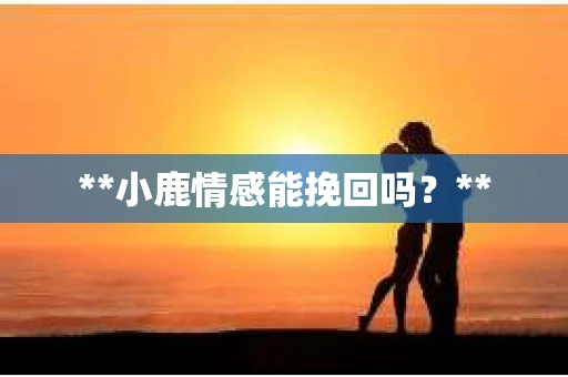 **小鹿情感能挽回吗？**