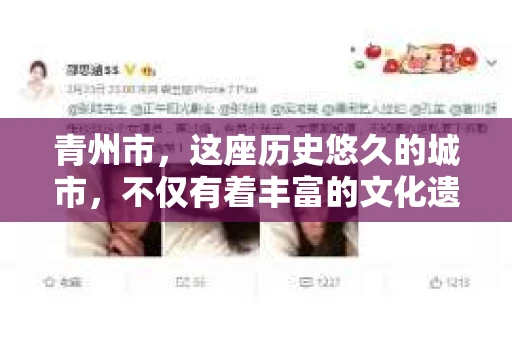 青州市，这座历史悠久的城市，不仅有着丰富的文化遗产，也有着现代生活的便捷。那么，问题来了——青州市有私家侦探公司吗？这个问题，对于需要侦探服务的人来说，无疑至关重要。接下来，我就来为大家揭开这个谜底。