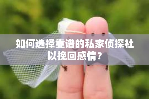 如何选择靠谱的私家侦探社以挽回感情? 如何选择靠谱的私家侦探社以挽回感情?