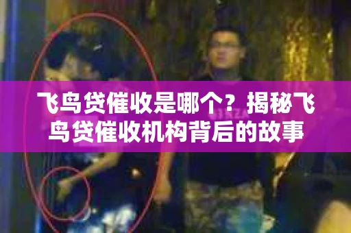 飞鸟贷催收是哪个？揭秘飞鸟贷催收机构背后的故事