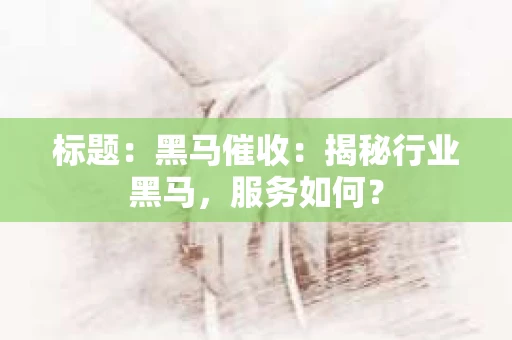 标题：黑马催收：揭秘行业黑马，服务如何？