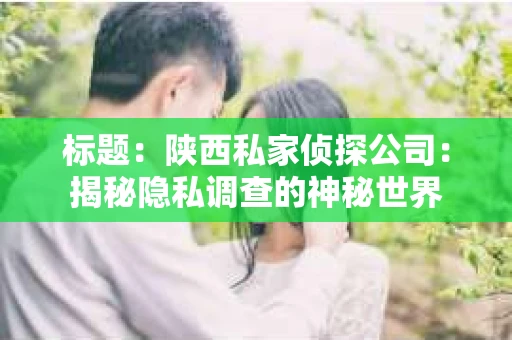 标题：陕西私家侦探公司：揭秘隐私调查的神秘世界