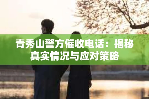 青秀山警方催收电话：揭秘真实情况与应对策略