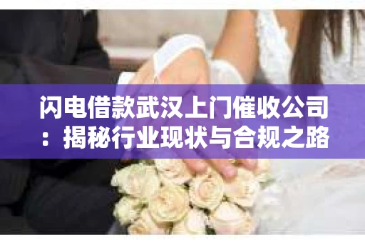 闪电借款武汉上门催收公司：揭秘行业现状与合规之路