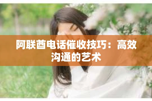 阿联酋电话催收技巧：高效沟通的艺术