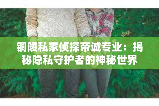铜陵私家侦探帝诚专业：揭秘隐私守护者的神秘世界