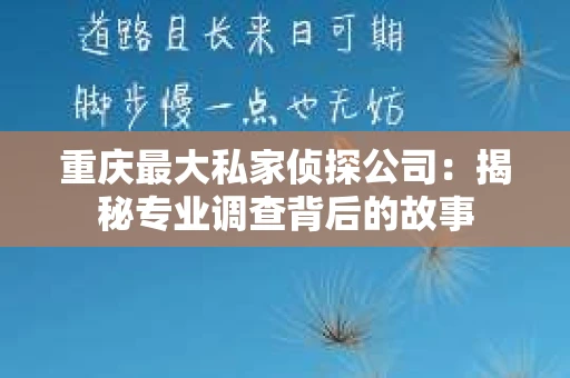 重庆最大私家侦探公司：揭秘专业调查背后的故事