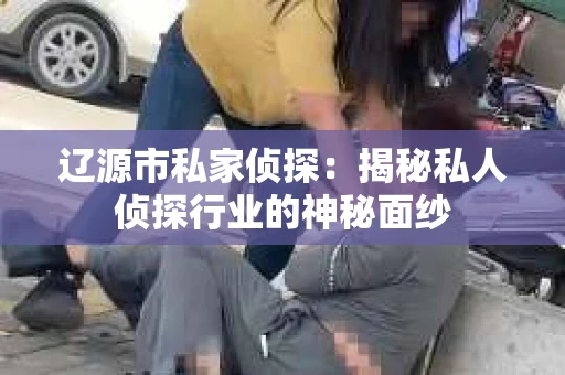 辽源市私家侦探：揭秘私人侦探行业的神秘面纱
