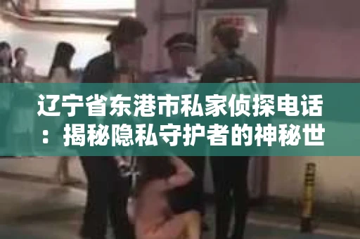 辽宁省东港市私家侦探电话：揭秘隐私守护者的神秘世界