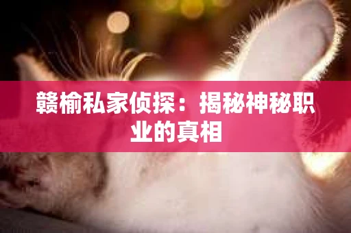 赣榆私家侦探：揭秘神秘职业的真相