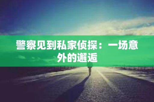 警察见到私家侦探：一场意外的邂逅