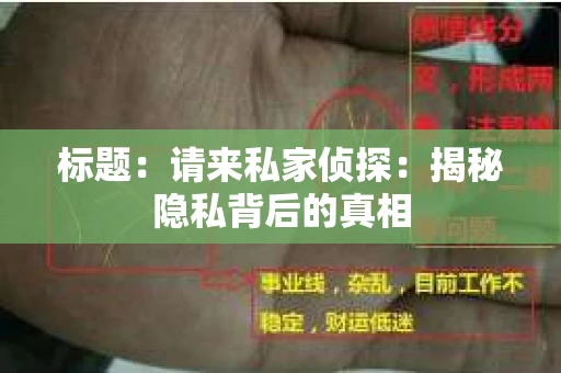 标题：请来私家侦探：揭秘隐私背后的真相