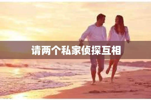 请两个私家侦探互相