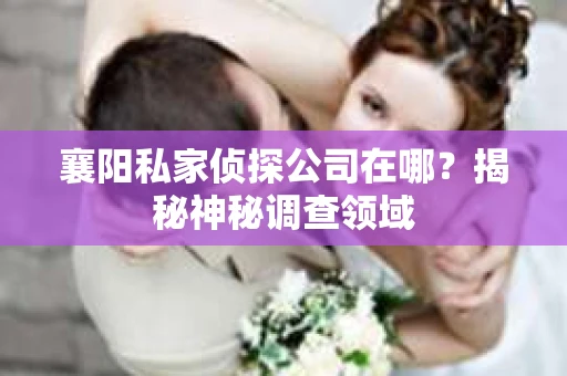 襄阳私家侦探公司在哪？揭秘神秘调查领域