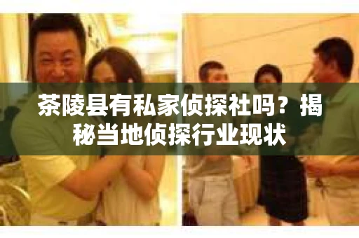 茶陵县有私家侦探社吗？揭秘当地侦探行业现状