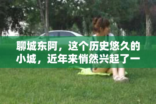 聊城东阿，这个历史悠久的小城，近年来悄然兴起了一股新的服务潮流——私家侦探。今天，我们就来聊聊这个话题，看看在聊城东阿，私家侦探是如何成为人们生活中的一部分的。