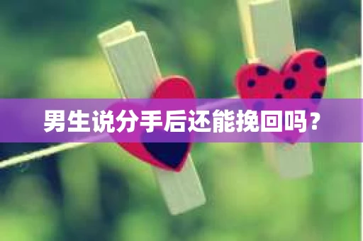 男生说分手后还能挽回吗? 男生说分手后还能挽回吗?