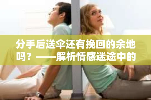 分手后送伞还有挽回的余地吗？——解析情感迷途中的决策