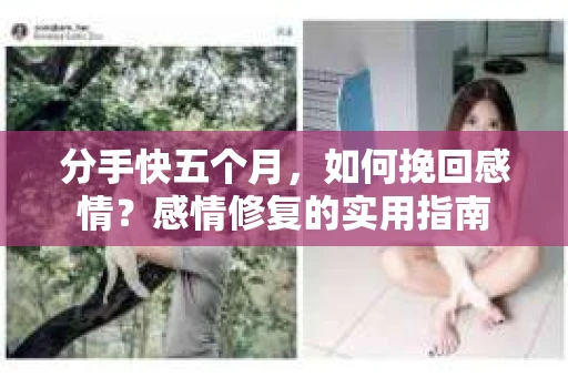 分手快五个月，如何挽回感情？感情修复的实用指南