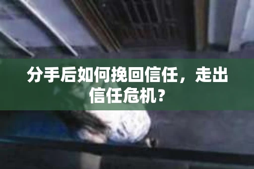 分手后如何挽回信任，走出信任危机？