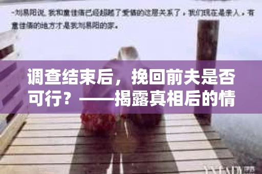 调查结束后，挽回前夫是否可行？——揭露真相后的情感疗愈与人生决策