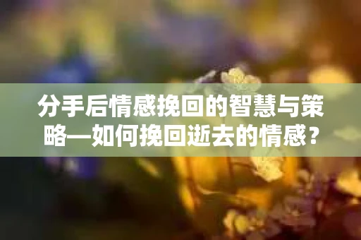 分手后情感挽回的智慧与策略—如何挽回逝去的情感? 分手后情感挽回的智慧与策略—如何挽回逝去的情感?